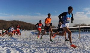 19th SPAR European Cross Country Championships